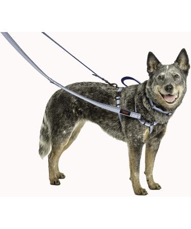 HALTI Double-Ended Dog Lead Small Red - Premium Neoprene-Padded Leash for Puppy & Training - 2m Reflective Adjustable Lengths - Ideal for Hands-Free Running - Buy Online on GoSupps.com