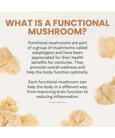 Charlotte's Web Focus Support Mushroom Gummies for Focus and Energy w/Lion s Mane Natural Cognitive Support Lions Mane Gummies for Adults Tangerine Flavor (30 Servings) - Buy Online on GoSupps.com