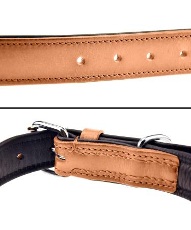 XXL Beige Leather Sniffing Fans Dog Collar - Padded Robust Ideal for Large Medium & Small Dogs (55-65cm) - Buy Online on GoSupps.com