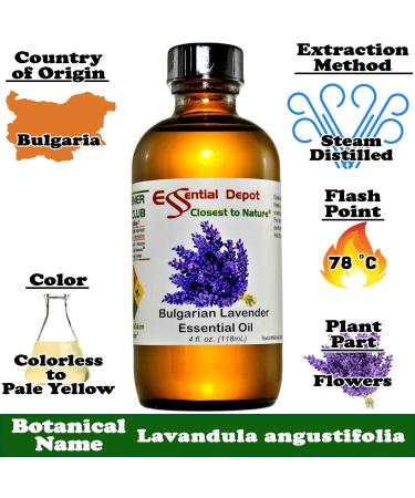 Bulgarian Lavender Essential Oil - 4 oz | GC/MS Tested | Skin Safe | Amber Glass Bottle | International Shipping - Buy Online on GoSupps.com