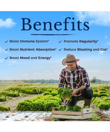 Vitalitown Probiotics + Prebiotics - 60 Billion CFUs, 19 Strains, Vegan, Non-GMO, Digestive & Immune Support - Buy Online on GoSupps.com
