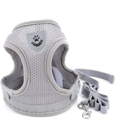 Ranphy Breakproof Cat Dishes with Leash - Durable Stylish & Ideal for International Shipping - Buy Online on GoSupps.com