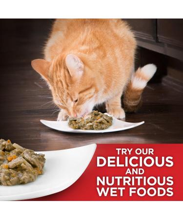 Hill's Science Diet Adult Oral Care Cat Food Chicken Recipe Dry Cat Food for Dental Health 7 lb Bag 3.18 kg (Pack of 1) Adult | Chicken - Buy Online on GoSupps.com