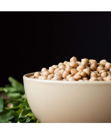 Organic Garbanzo Beans 10 Pounds | Non-GMO, Kosher, Raw, Sproutable | High Fiber, Protein & Copper | Food to Live - Buy Online on GoSupps.com