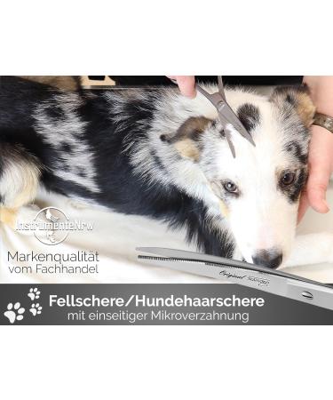 Premium 8-Inch Soling Fur Shear Scissors for Dogs & Cats - Made in Germany Stainless Steel Perfect for Pet Fur Care - Buy Online on GoSupps.com