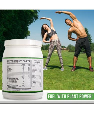 Organic Plant Protein Powder - Vanilla Flavor Gluten Free Dairy Free Soy Free - 17.99oz | Best International Shipping - Buy Online on GoSupps.com