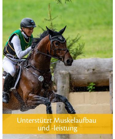 Myo Power 03605874344075 2.3 kg Bucket - Buy Online on GoSupps.com