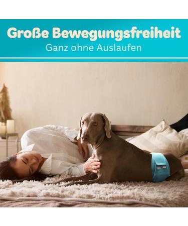 Dog is K nig Male Dog Diapers 3 Pcs - Comfortable Washable & Eco-Friendly Incontinence Solution | Suction-Strong XL (59-65cm) | Easy to Clean Black Blue Green - Buy Online on GoSupps.com