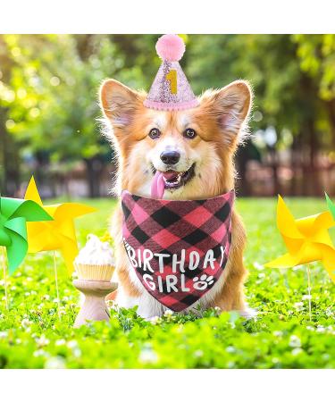 Cobee Dog Birthday Bandana Set | Dog Birthday Hat & Tie | Pink Dog Accessories for Puppy & Cat Party - Buy Online on GoSupps.com