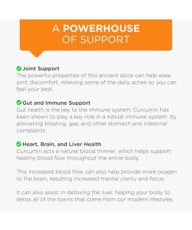 curcuminpro Complete Curcumin Bulk Powder | BioSoluble Organic Turmeric Curcumin Supplement | Natural Wellness Support | 90 Grams - Buy Online on GoSupps.com