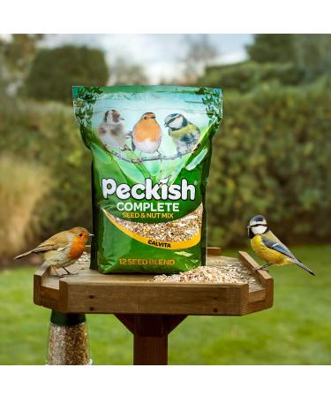 Peckish Complete Seed & Nut Mix for Wild Birds - 1kg Pack 1 kg (Pack of 1) Single - Buy Online on GoSupps.com