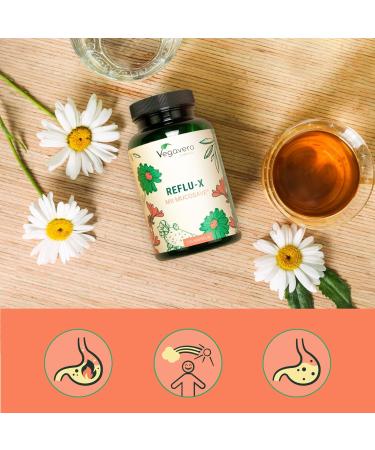 Vegavero Complex Gastric Reflux | 100% NATURAL | 120 Capsules | With Plant Extracts: Prickly Pear + Olive Leaves + Chamomile + Mallow | Stomach Burns | No Additives | Vegan - Buy Online on GoSupps.com