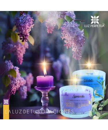 Box of 6 Scented Gift Candles for Women | Aromatherapy Soy Wax Candle Set | Perfect for Family & Friends | 40 Hours Long-Lasting Burn - Buy Online on GoSupps.com