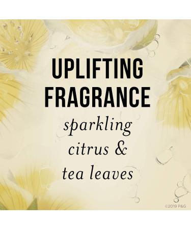 Buy Pantene Sulfate Free Conditioner with Castor Oil | Nutrient Blends for Damage Repair | 8 Fl Oz - Ship Worldwide - Buy Online on GoSupps.com