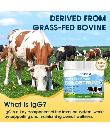 KEDISOM Grass-Fed Bovine Colostrum Supplement Powder - 60% High IgG 3000 mg for Gut Health Immune Support - Easy to Mix Natural Liposomal Colostrum Superfood Unflavored 50 Servings - Buy Online on GoSupps.com