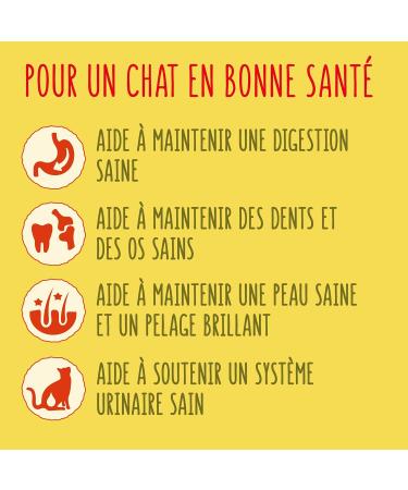 FRISKIES With Salmon and Vegetables - 1.5 kg - Dry Food for Adult Cats - Buy Online on GoSupps.com