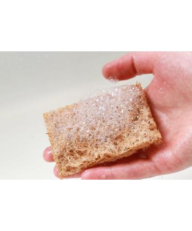 Safix 684612000315 Safix Natural Non-Scratch Multi-Purpose Coconut Scrub-Pad 6-Count Gold 6 Pack - Buy Online on GoSupps.com