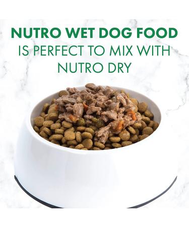 NUTRO Adult High Protein Grain-Free Wet Dog Food Variety Pack - Beef, Lamb, Chicken, Turkey - 36 Pack x 3.5oz - Buy Online on GoSupps.com