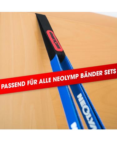 Neo-Olympus Door Anchor for Fitness Straps & Resistance Bands | Best Pull-Up & Therapy Tape Door Anchor - Buy Online on GoSupps.com