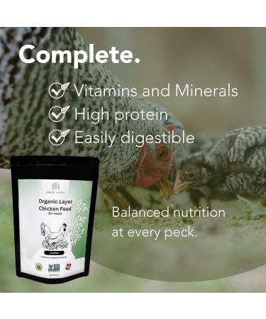 Graze Haven Layer Chicken Feed 2lbs - Organic Non-GMO Antibiotic-Free | Better Eggs Optimal Nutrition | High Protein Eco-Friendly | Made in Canada 907 g (Pack of 1) - Buy Online on GoSupps.com