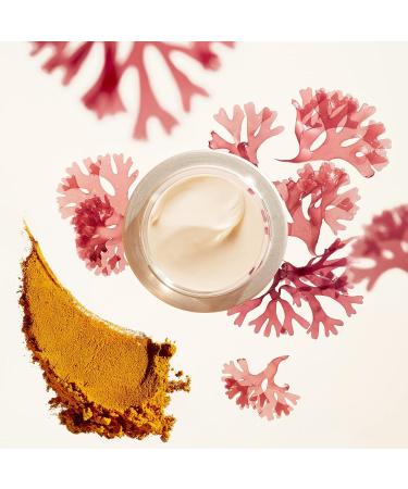 Shiseido Benefiance Wrinkle Smoothing Day Cream 50ml SPF 23 - Anti-Aging Moisturizer for Wrinkles & Hydration - Buy Online on GoSupps.com