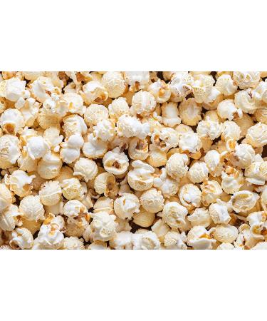 Concession Essentials Gourmet Mushroom Extra Large Popcorn Kernels - 2lbs 2lb-Mushroom Kernels - Buy Online on GoSupps.com