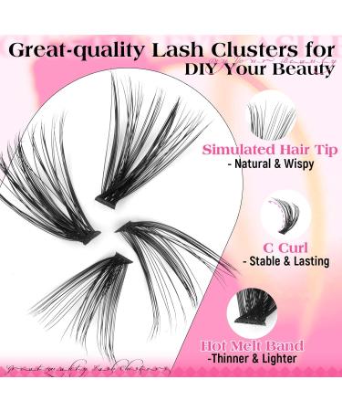 Calphdiar D Curl Cluster Eyelash Extensions - 240PCS 40D & 50D Individual Wispy Lashes - 9-16MM DIY Lash Clusters for Stunning Eyes - Buy Online on GoSupps.com