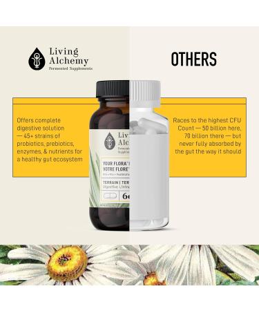 Gut Health Supplement - Your Flora Probiotic Terrain with Fermented Soybean Aloe Vera Prebiotics Digestive Enzyme Probiotics for Men & Women - Vegan Non-GMO - Living Alchemy 120 Pcs 120 count (Pack of 1) - Buy Online on GoSupps.com