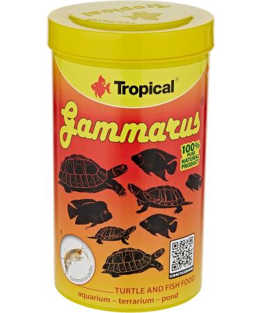 GAMMARUS 500ml / 60g - Natural Food for Aquatic Turtles and Fish Rich in Calcium Fibers and Mineral Salts - Buy Online on GoSupps.com