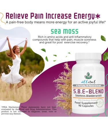 Allital Sea Moss and Bladderwrack Capsules with Elderberry - S.B.E Blend - Buy Online on GoSupps.com