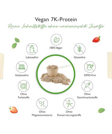 Vegan 7K Protein Powder 1kg - Vanilla Black Currant | Herbal Blend with Rice Almond Soy Pea Hemp Cranberry & Sunflower Protein - International Shipping Available - Buy Online on GoSupps.com