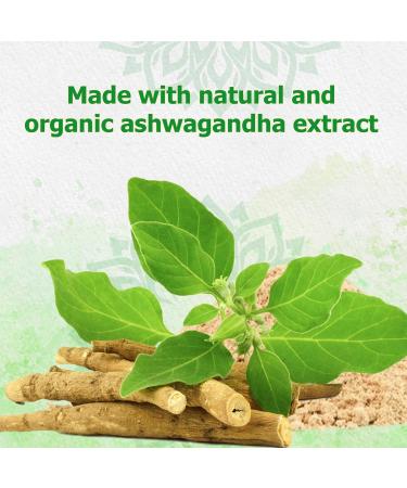 Reddy Naturals Aryana Pure Organic Ashwagandha Powder - High-Potency Root Extract with 10% Withanolides - Natural Orange Flavor for Stress & Energy Support - 4.2 OZ (120g) - Buy Online on GoSupps.com