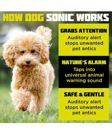 Dog Sonic Dog Training Spray NEW 180ml Size - Corrector Sound from Compressed Air for House Stop Dogs from Chewing Jumping - Anti Bark Break Fights - Dog Attack Deterrent Repellent Spray - Non-Toxic - Buy Online on GoSupps.com
