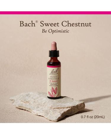 Bach Original Flower Remedies Sweet Chestnut 20mL - Natural Homeopathic Essence for Optimism, Stress Relief - Vegan - Buy Online on GoSupps.com