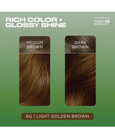 Clairol Natural Instincts Semi-Permanent No Ammonia Hair Dye 6G Light Golden Brown 6G Light Golden Brown 1 count (Pack of 1) - Buy Online on GoSupps.com