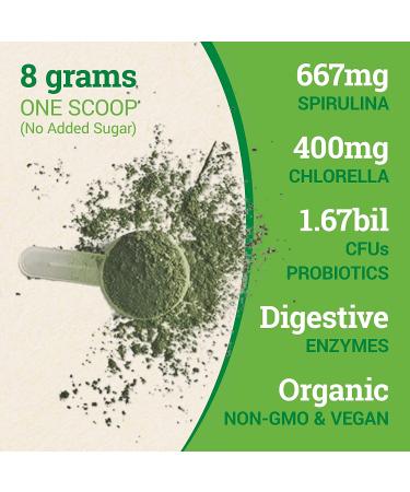  Nested Naturals Super Greens Powder - 30 Servings  - Buy Online on GoSupps.com