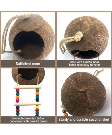 Hanging Coconut Bird House with Ladder - Natural Fiber Shell Nest for Birds - Swing Toys & Accessories for Parakeets, Finches & Canaries - Buy Online on GoSupps.com