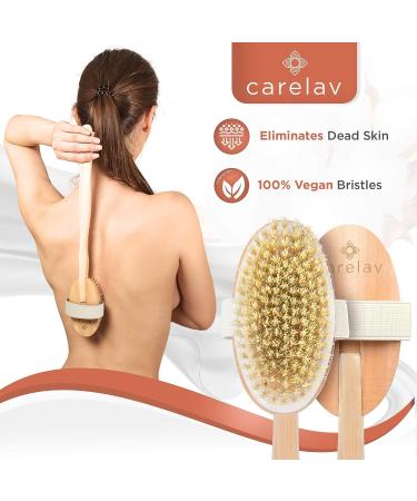 Vegan Dry Brushing Body Brush Set - Exfoliating & Cleansing Brushes for Lymphatic Drainage - Premium Skin Beauty Kit with Handle, Face Brush & Shower Gloves - Buy Online on GoSupps.com
