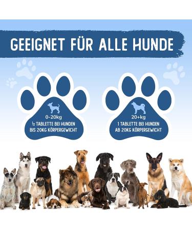 Animal Power Joint Tablets for Dogs - Made in Germany - Green Lipped Mussel & Teufel's Claw - 100 Bone & Joint Protection Tablets - Buy Online on GoSupps.com