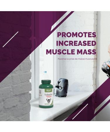 VORST Tribulus Terrestris Extract 7000mg Raw Equivalent 3 x 180 Vegan Capsules | Supplement for Men & Women | Powder Pills | 3 Bottles 540 count (Pack of 1) - Buy Online on GoSupps.com