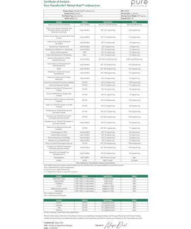 Pure Therapro Rx Methylated Multivitamin for Men and Women | Made in USA | Methyl Multi Without Iron Methyl B12 & Methylfolate | 120 Capsules 2-Month Supply 120 Count (Pack of 1) - Buy Online on GoSupps.com