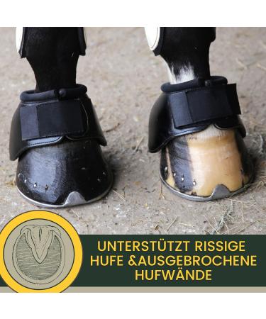 Biotin + Zinc Horse 1Kg - Mineral feed in case of hoof problems biotin & Zinc I Hoof treatment with methionine Zinc b - Buy Online on GoSupps.com