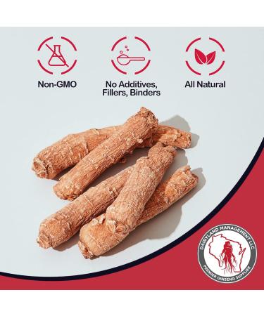 Dairyland Korean Red Panax Ginseng Capsules - 2000 mg Concentrated Potent Ground Ginseng Root Extract - No Fillers Binders or Other Additives. (75 ct) 75 Count (Pack of 1) - Buy Online on GoSupps.com