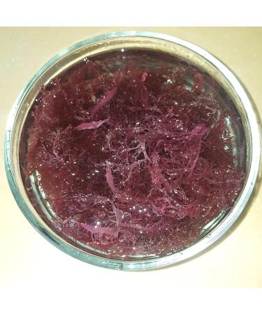 Jamaican Purple Sea Moss Irish Moss Wildcrafted Dr. Sebi Alkaline - Buy Online on GoSupps.com
