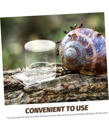 GRIRIW Pet Water Feeder Ant Water Feeders Ant Waterer Cup Water Feeding Cup for Ant Nest Clear Ants Feeder Ant Keeper Tools Ant Feeding Cup Ant Watering Cup Ant Keeping Ant Bottle Feeder - Buy Online on GoSupps.com