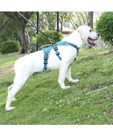 Belpro Multi-Purpose Dog Harness - No Pull Adjustable Reflective Vest for Large Dogs (Blue L) - Durable Handle & Dog Dishes Included - Buy Online on GoSupps.com