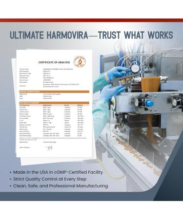 Liposomal Iron with Vitamin C Folic Acid B12 B6 B1 Support Energy & Red Blood Cell Formation Gentle Formula 180 Capsules Non-GMO Gluten-Free 60 count (pack of 2) - Buy Online on GoSupps.com