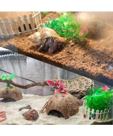 Hermit Crab Shells Set - 17PCS of 9 Types, Medium to Small Growth Turbo Seashells 0.6-1.6 Inch, Various Opening Sizes, Natural - Buy Online on GoSupps.com