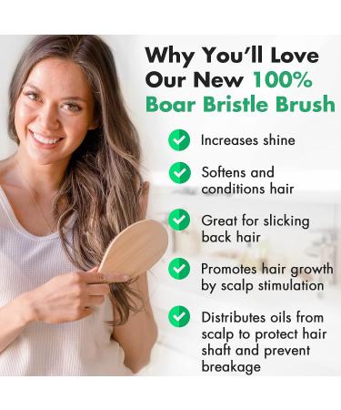 Beauty by Earth Boar Hair Brush for Fine & Thick Hair - Men's & Women's Boar Bristle Brush - 100% Boar Brush (Pack of 1) - Buy Online on GoSupps.com
