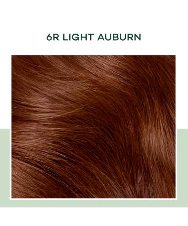 Clairol Natural Instincts 6R Light Auburn Hair Dye Pack of 3 - 5.85 Fl Oz - Buy Online on GoSupps.com